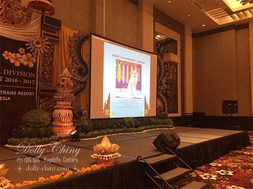 2016 2017 cfa banquet indonesia 20170819 03