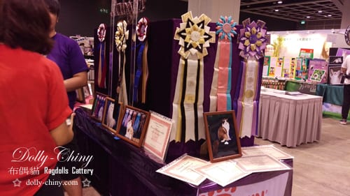 20160611 breed parade 06