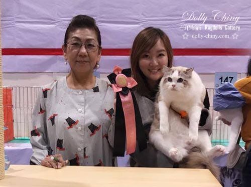 captain cuddle 20170225 hkbcc r6