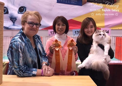captain cuddle 20170226 hkbcc r2