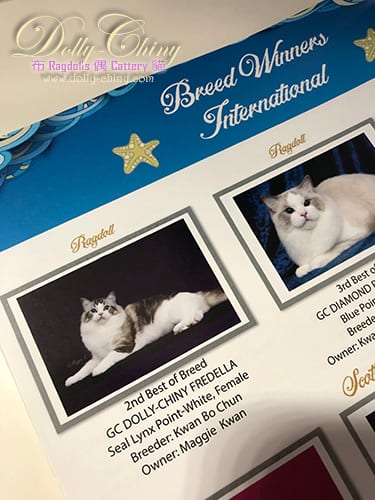 cfa banquet singapore 20190817 04