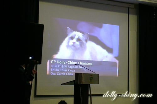 cfa intl div banquet 20130901 malaysia 03