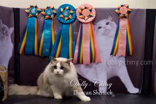 duncan sherlock 20140209