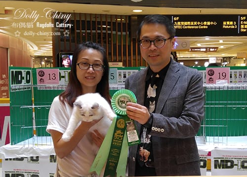 dynasty 20180603 ufo r8