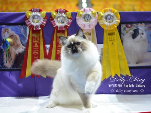 elysian diamond 20161204 hkicc