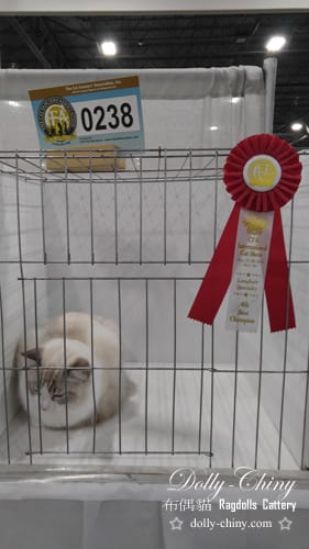 enoch 20161119 20 intl show detroit r7