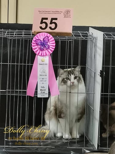 fredella 20190223 usa