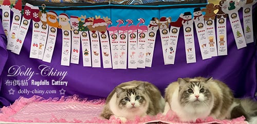 fredella n yannis 20181215 16 usa