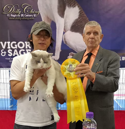 hishou hkscc 20190922 r6