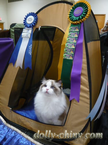 isaac 20120121 show 1