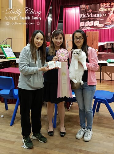 ivory 20181020 21 ufo highest scoring kitten