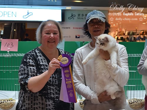 jackie 20190112 tica r3