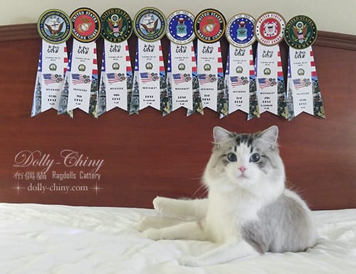 jacob 20171028 29 usa indy cat club