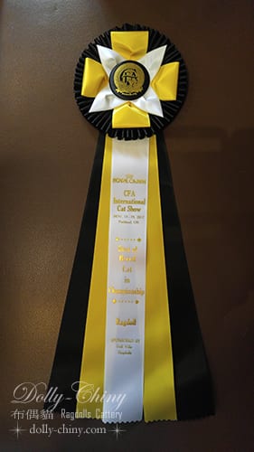 jacob 20171118 19 usa cfa intl show portland best ragdoll rosette