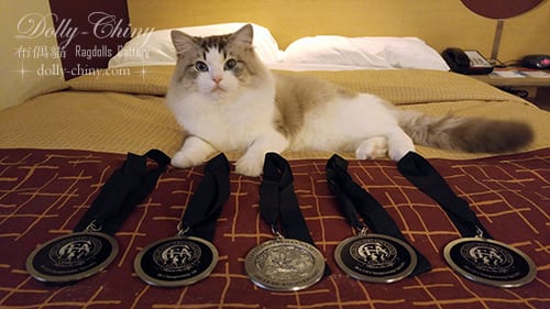 jacob 20180120 21 usa cleveland persian society