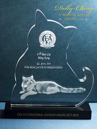 jacob trophy 4th best cat 2018