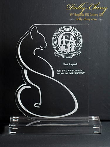 jacob trophy BWI 2018