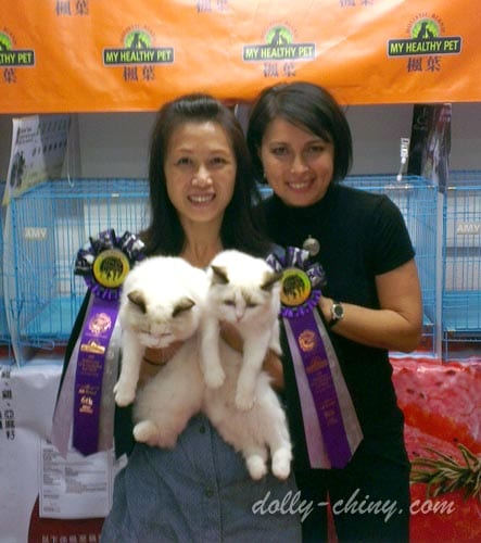 mimosa n mamamia 20141102 pff show ring2
