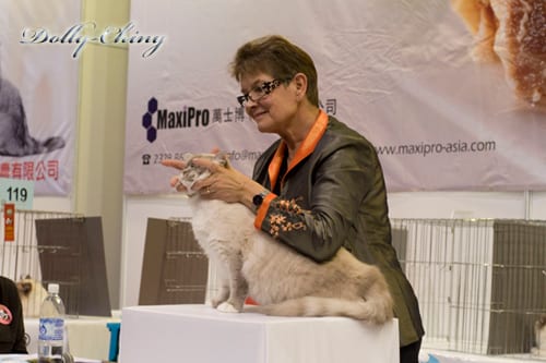 robert 20120204 show 1