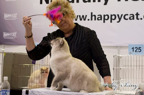 robert 20120204 show 2