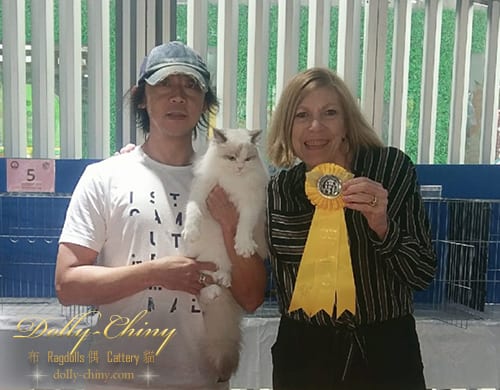 tweety 20190427 r1