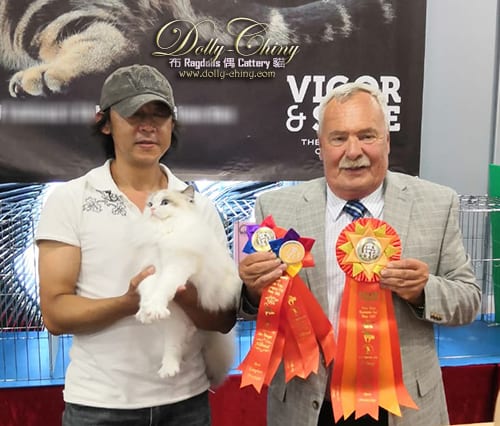 tweety hkscc 20190921 r2