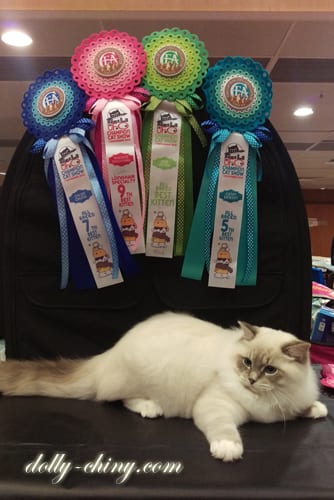 walberto 20151101 ufo rosettes