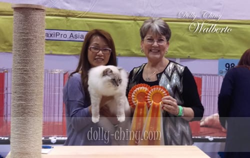 walberto 20160221 hkbcc r5