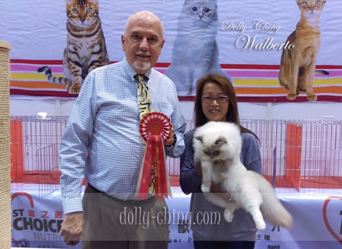walberto 20160221 hkbcc r1