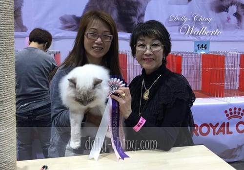 walberto 20160221 hkbcc r6