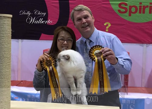 walberto 20160221 hkbcc r8