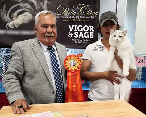 walter hkscc 20190921 r2