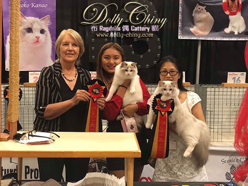 walter n yipman rpic 20190830