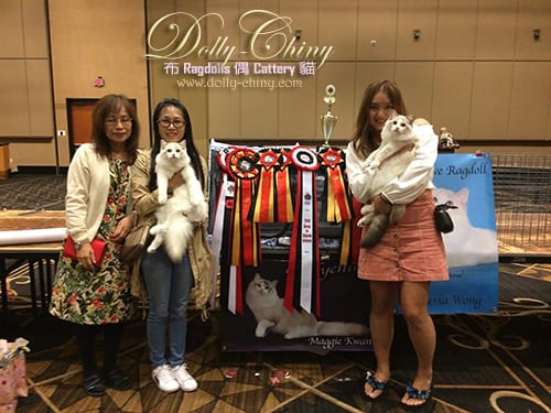 walter n yipman tica annual show 20190901