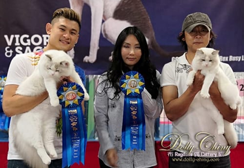 walter n zina hkscc 20190921 r3