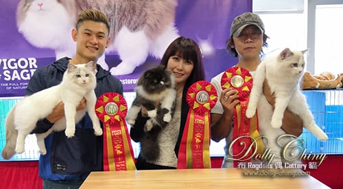 walter n zina hkscc 20190922 r4