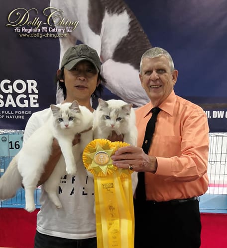 walter n zina hkscc 20190922 r6