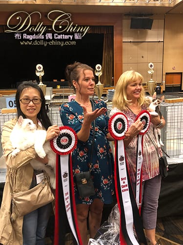 walter tica annual show 20190901.1