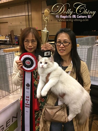 walter tica annual show 20190901.2