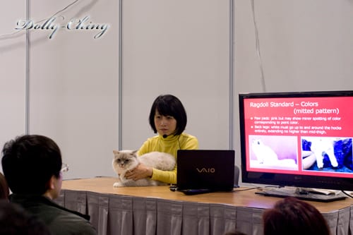 workshop 20120205 show 1