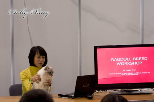 workshop 20120205 show 2