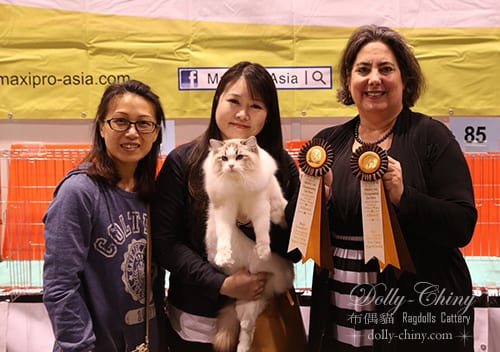 yaakov 20180210 11 hkbcc r5