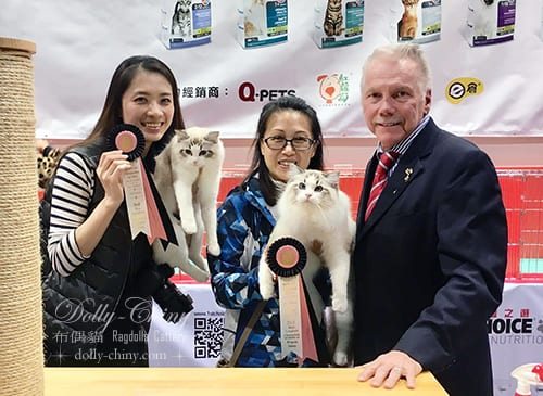 yaakov n xtra joy 20180210 11 hkbcc r1