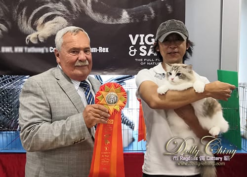 yannis hkscc 20190921 r2
