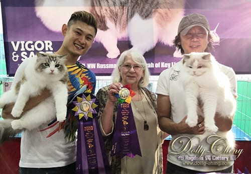 yannis n tweety hkscc 20190921 r1