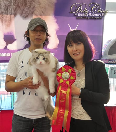 yannis hkscc 20190922 r4