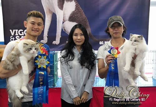 yannis n tweety hkscc 20190921 r3