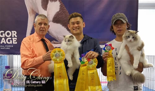 yannis n tweety hkscc 20190922 r6