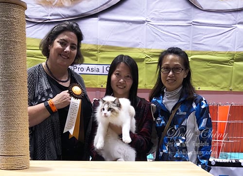yarden 20180210 11 hkbcc r5