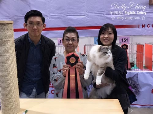 yuvi 20170225 hkbcc r6